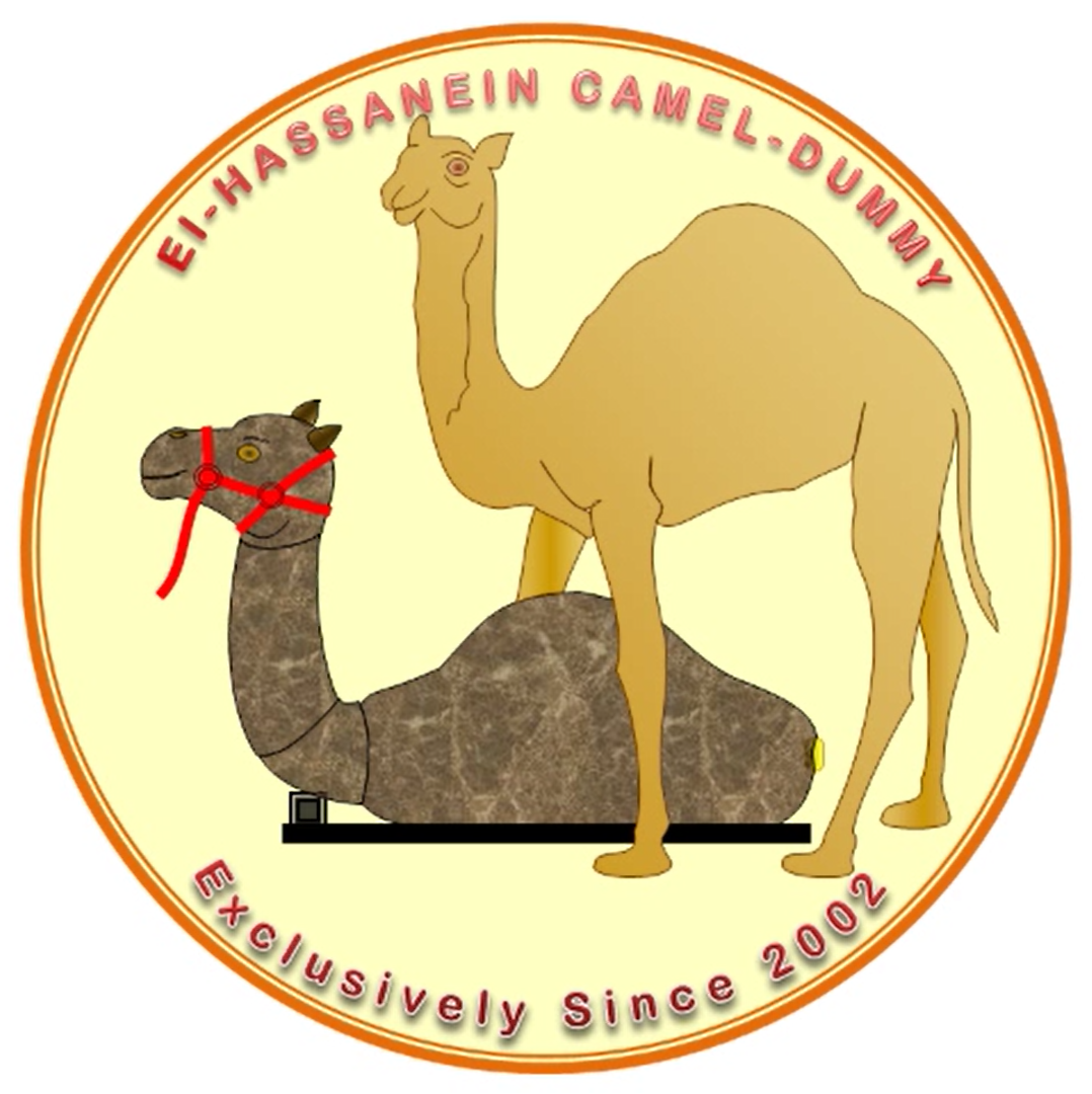 Camel dummy